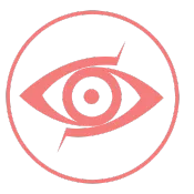 vision